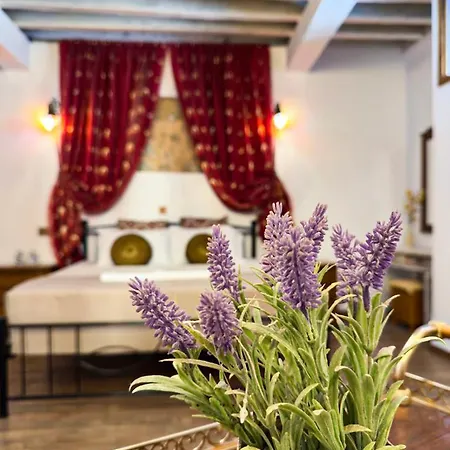 Fatma Hanoum Boutique 公寓 Rhodes City