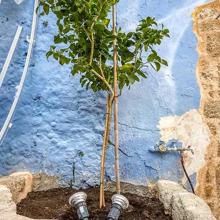 Apartment Fatma Hanoum Boutique *